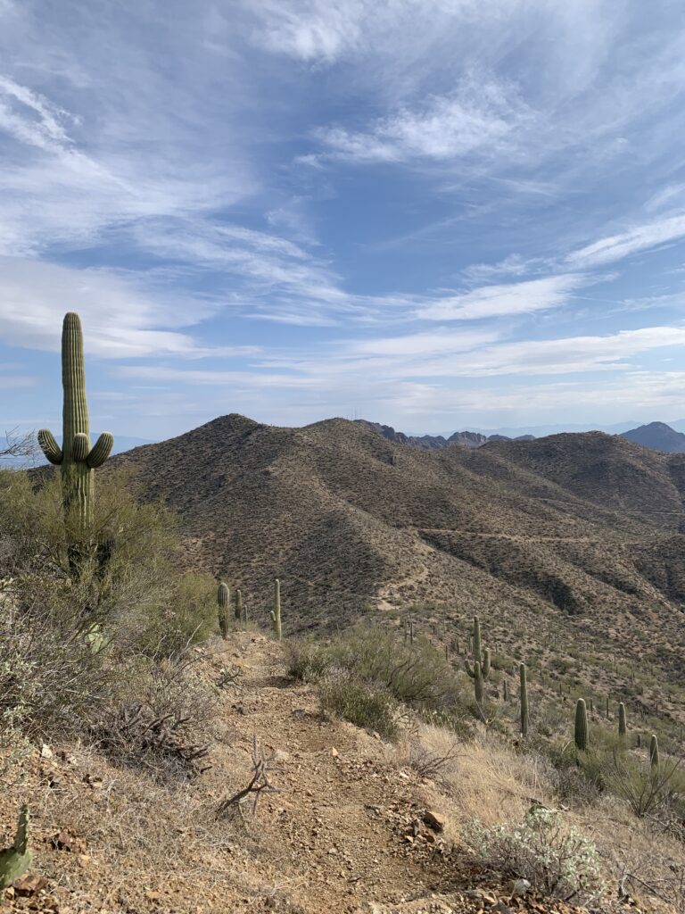 View from the top of Wasson Peak, Tucson AZ