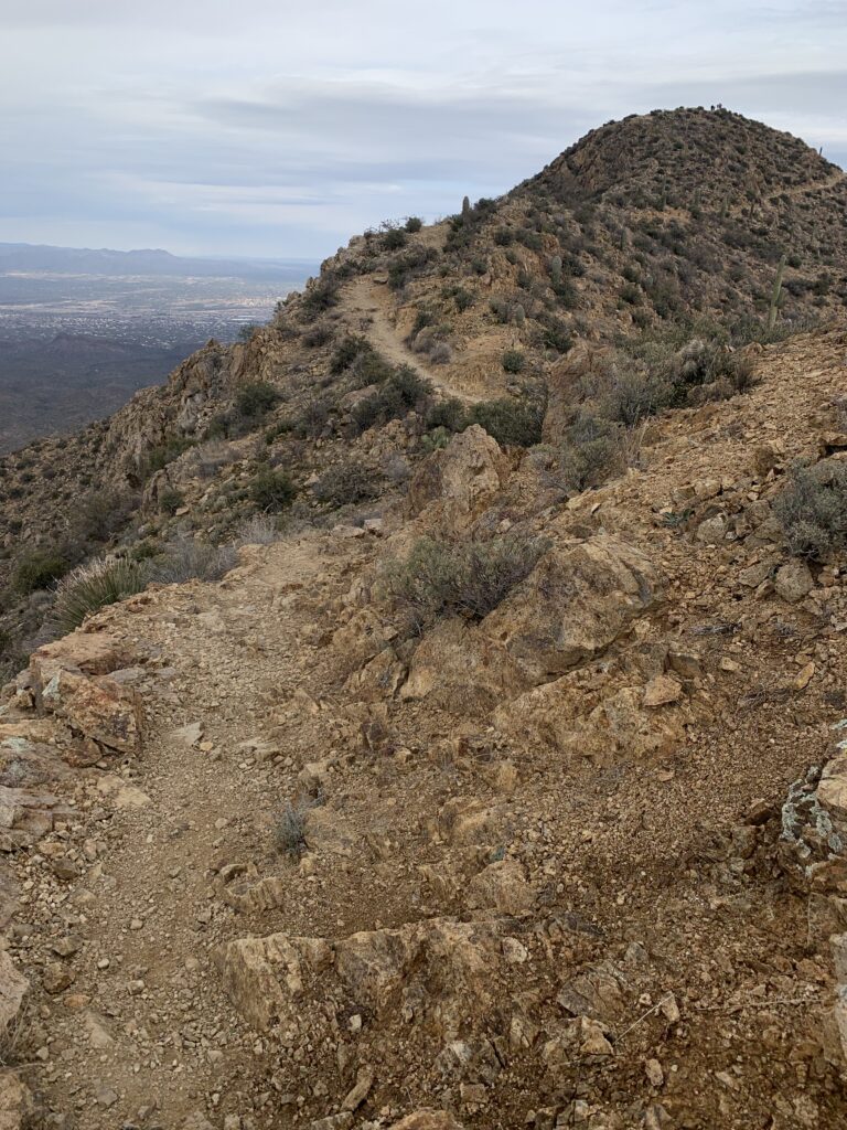 Trail at Wasson Peak