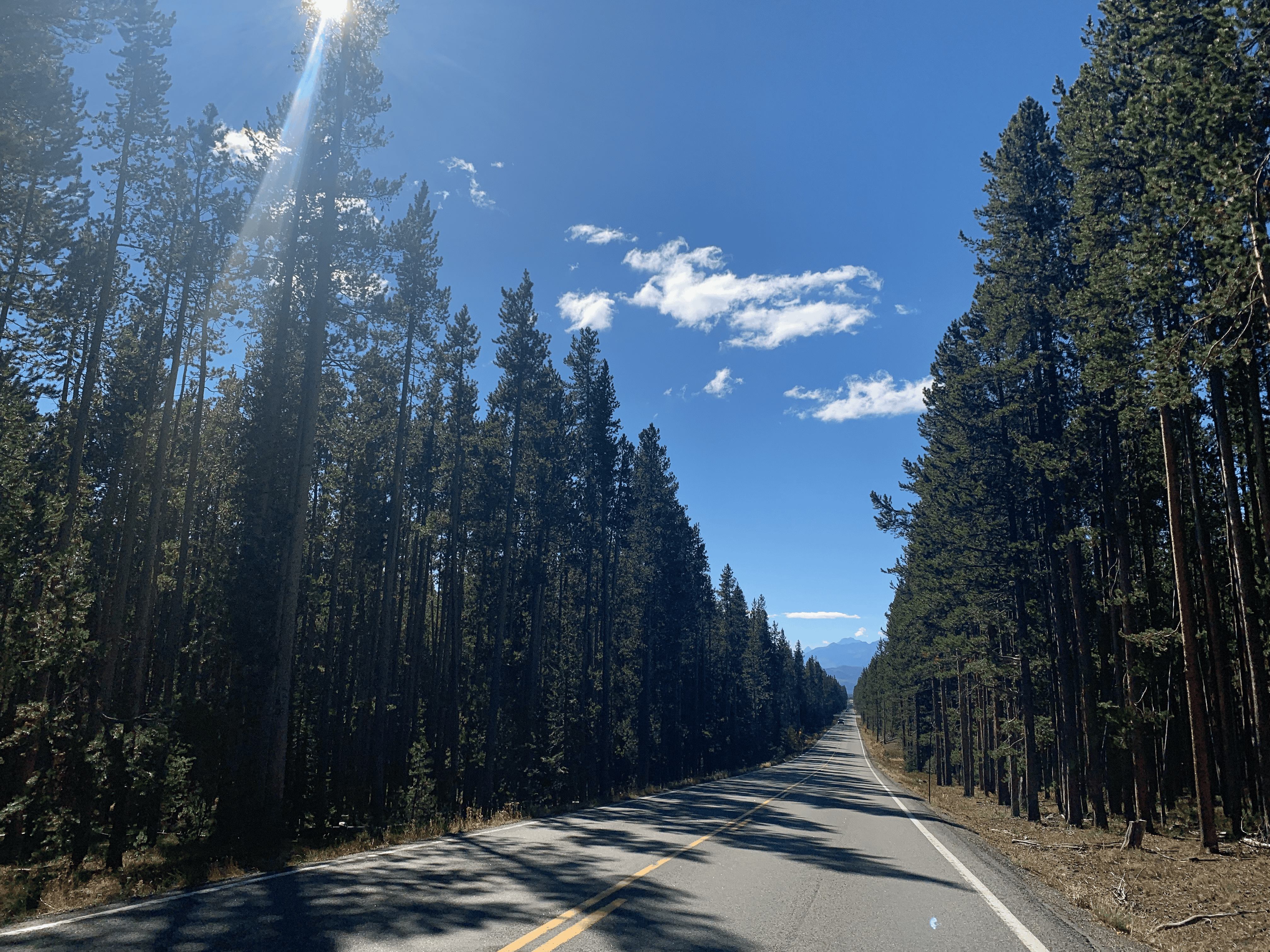 The Western US was one of my favorite places to road trip as a couple