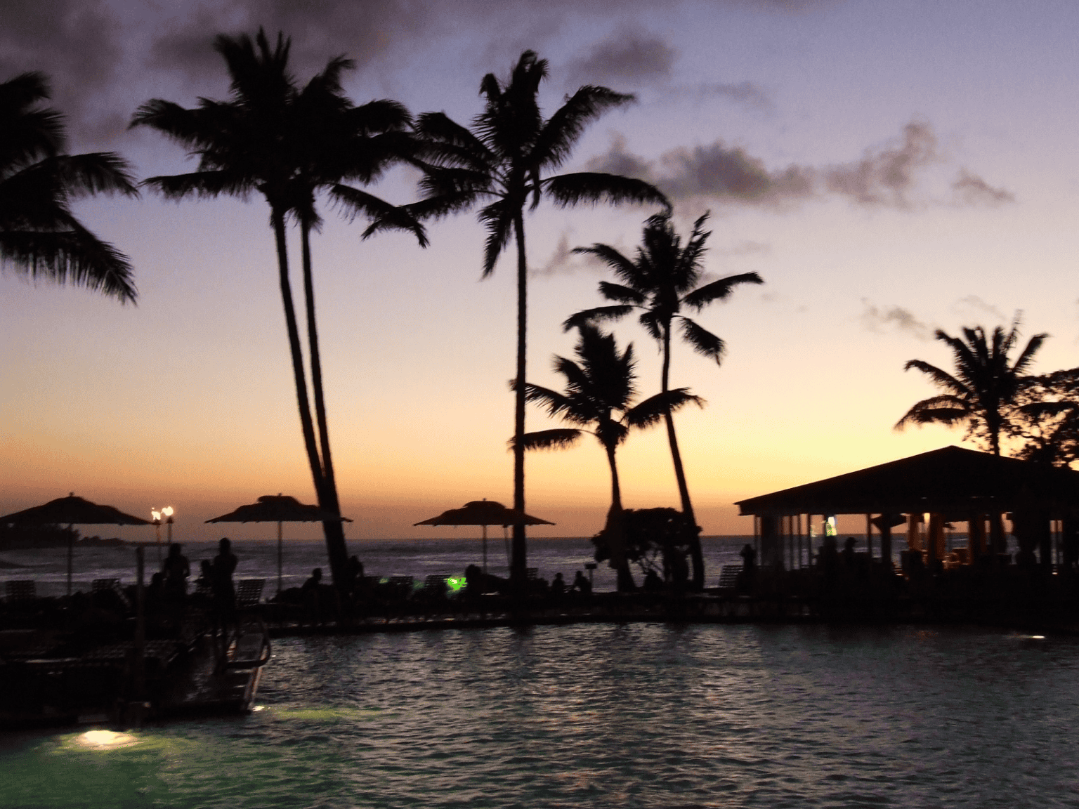 Briar Travel Free Bahamas Trip