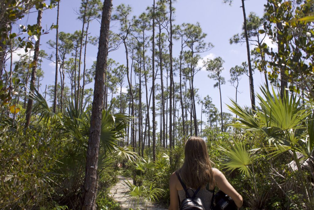 Sam walking through Rand Nature Center - Visiting the Rand Nature Center is one of the coolest things to do on Grand Bahama Island because you get to learn all about the islands natural landscape!