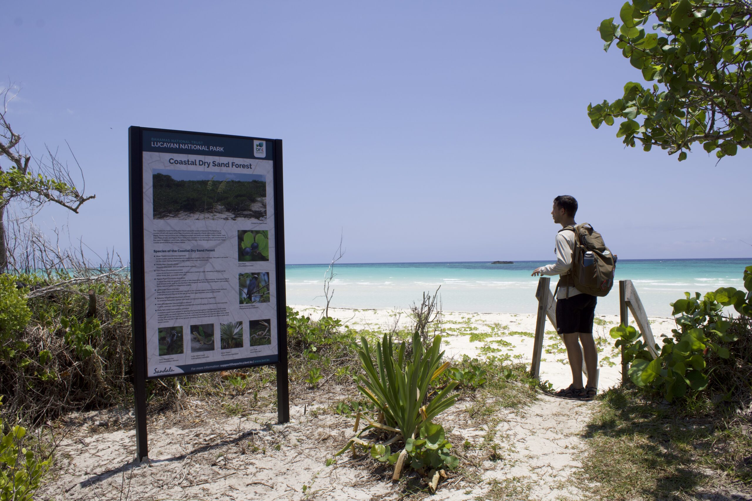 Dylan at Gold Rock Beach entrance, where they shot Pirates of the Caribbean! If you're looking for things to do on Grand Bahama Island, you should definitely check out Gold Rock Beach.