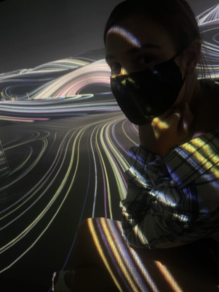 Photo in an immersive exhibit at a museum in Washington DC
