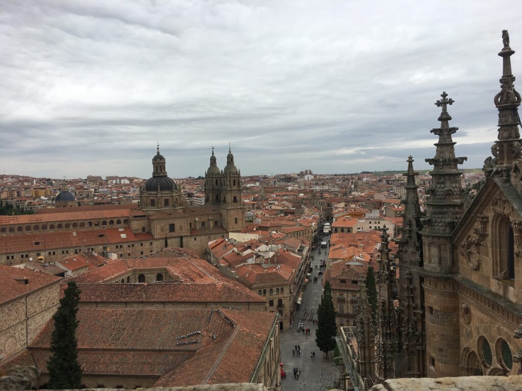 Overview of Salamanca and its streets