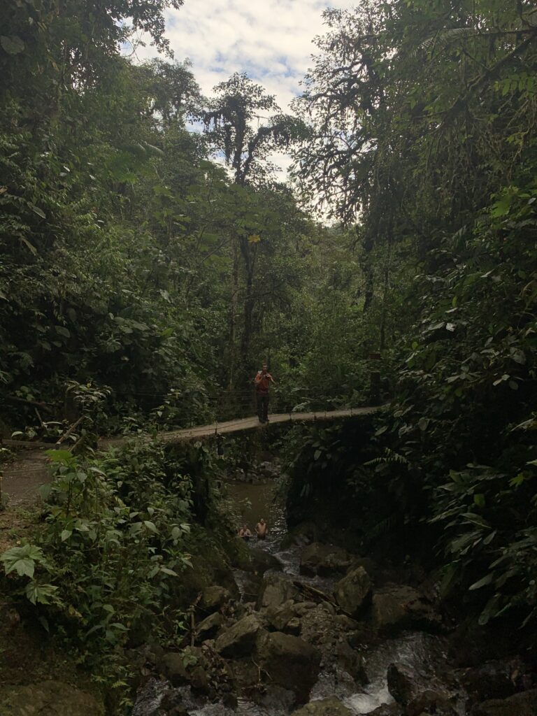 One of the most underrated hiking spots around Quito is Mindo's Cloud Forest in my opinion!